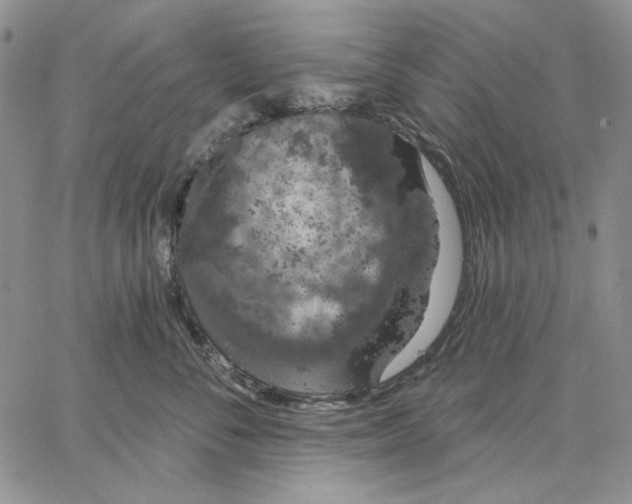 X0000062860716200602031652