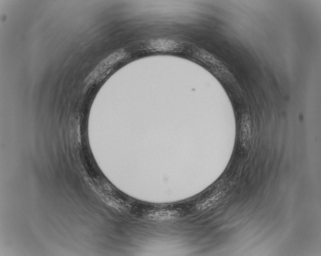 X0000062860734200602031651