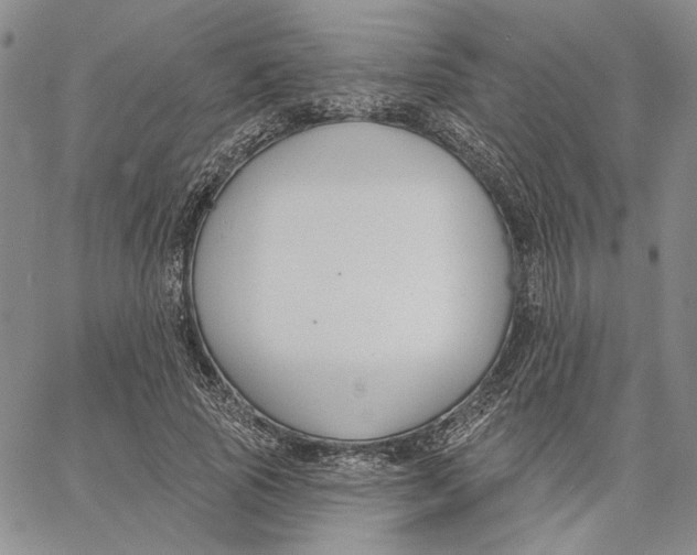 X0000062860737200602031651