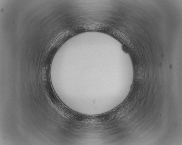 X0000062860738200602031651