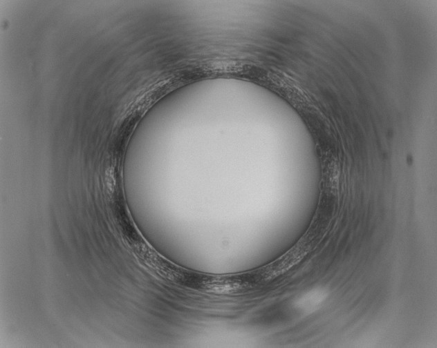 X0000062860746200602031651