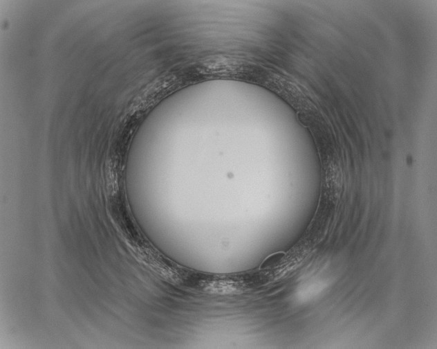 X0000062860751200602031651
