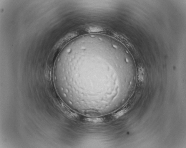 X0000062860763200602031651