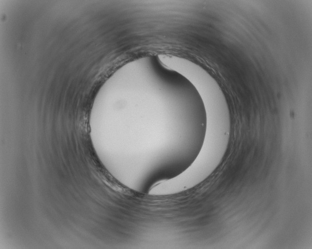 X0000062860766200602031652