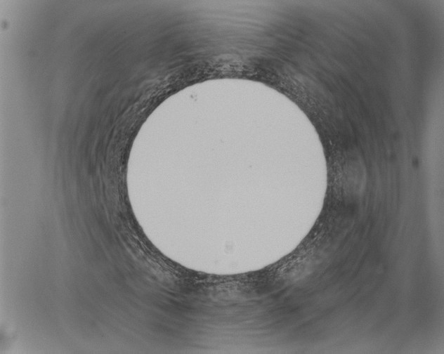 X0000062860769200602031651