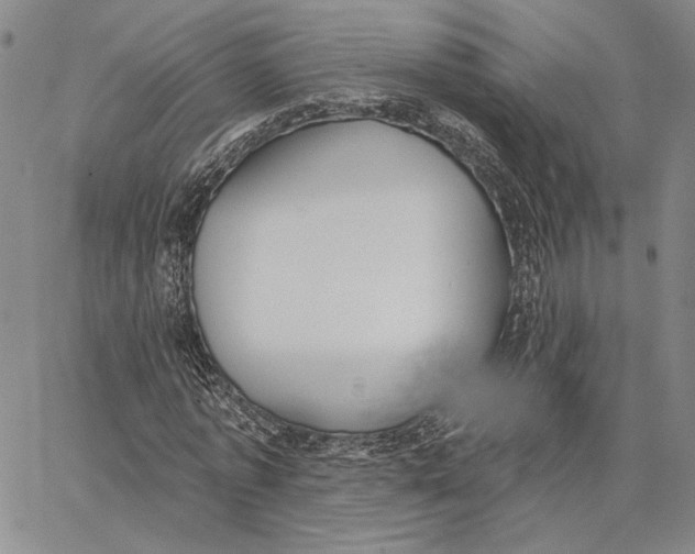 X0000062860773200602031651
