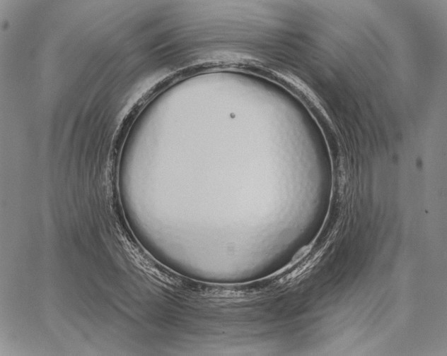 X0000062860783200602031651