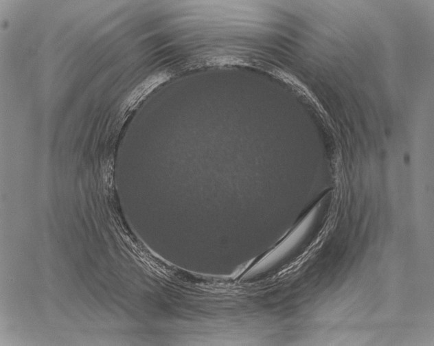 X0000062860785200602031651