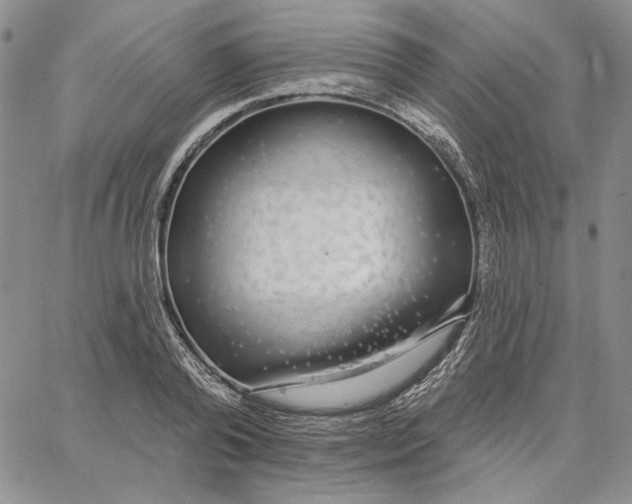 X0000062860792200602031650
