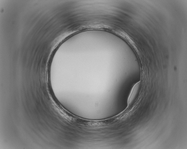 X0000062860795200602031650