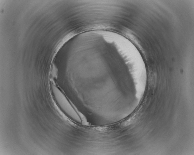 X0000062860810200602031650