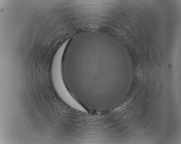 X0000062860818200602031649