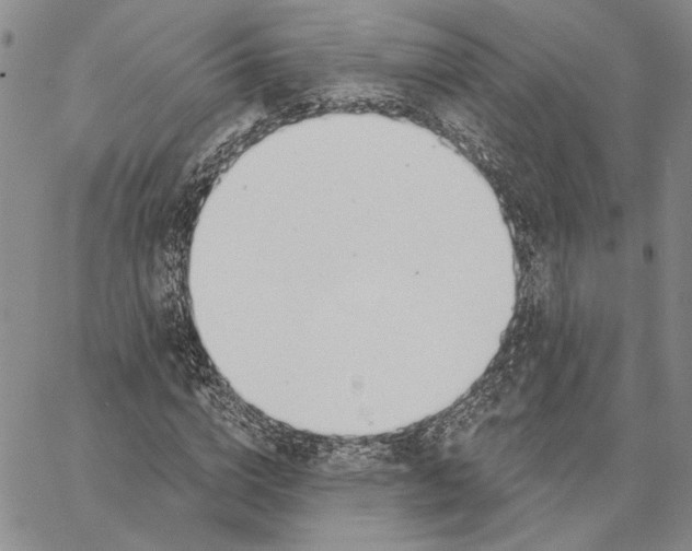 X0000062860824200602031649
