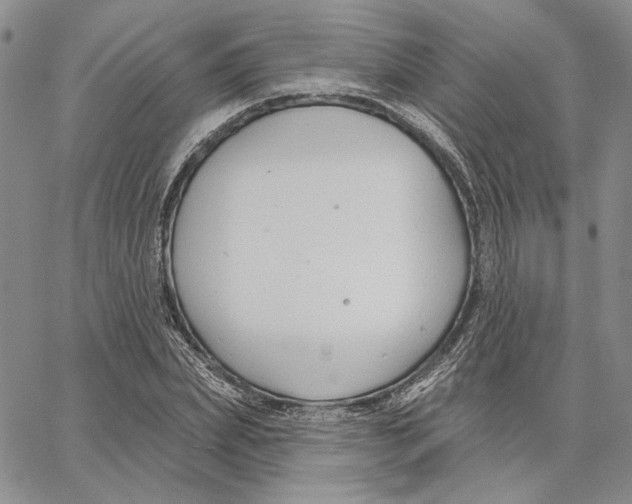 X0000062860831200602031649