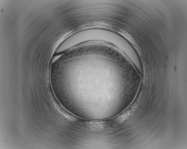 X0000062860850200602031650