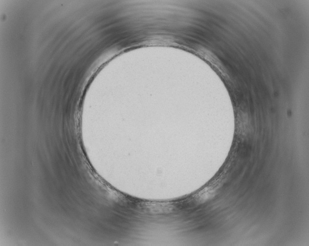 X0000062860856200602031650