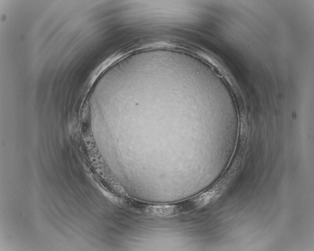 X0000062860858200602031650
