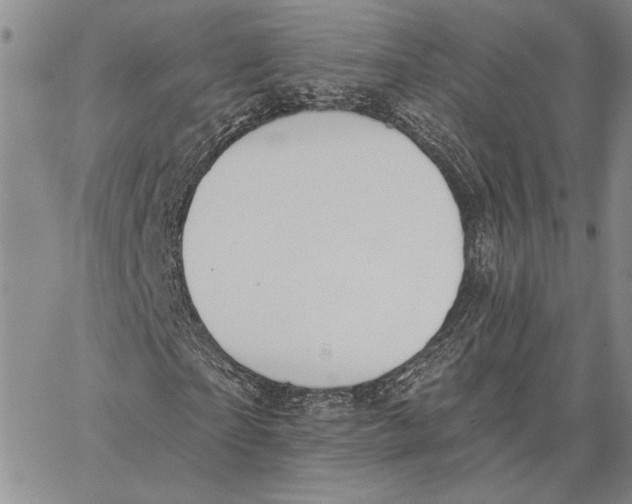 X0000062860865200602031649