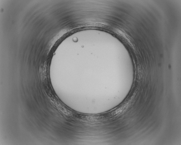 X0000062860875200602031649