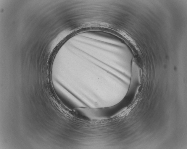 X0000062860877200602031649