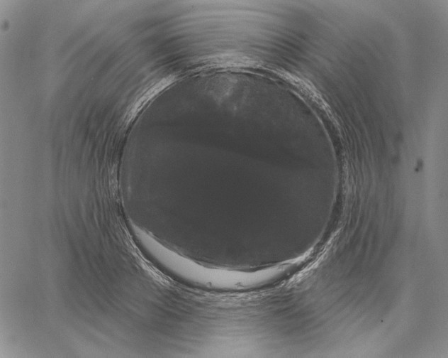 X0000062860889200602031649