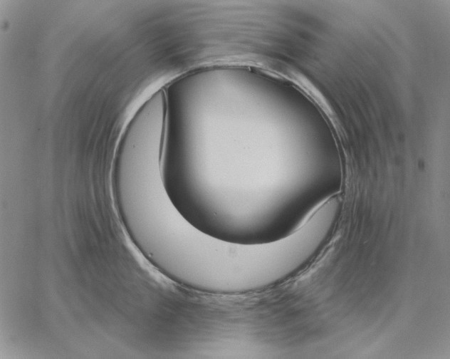 X0000062860909200602031649