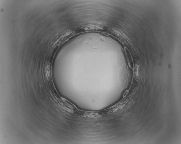 X0000062860915200602031648