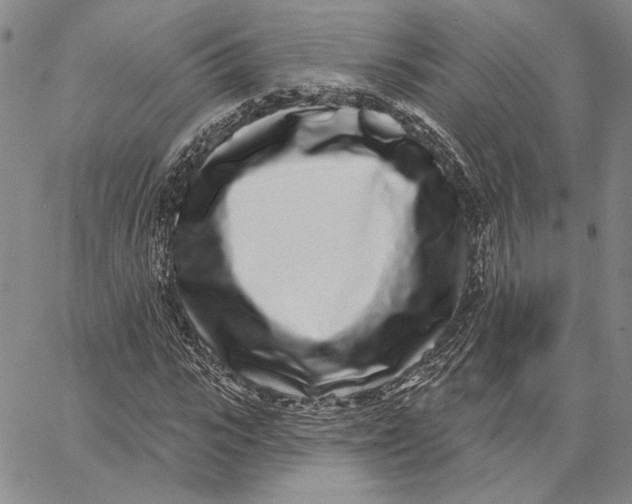 X0000062860919200602031648