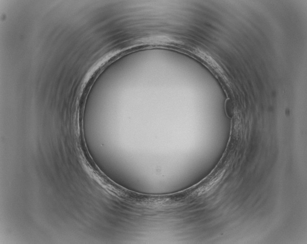 X0000062860939200602031648