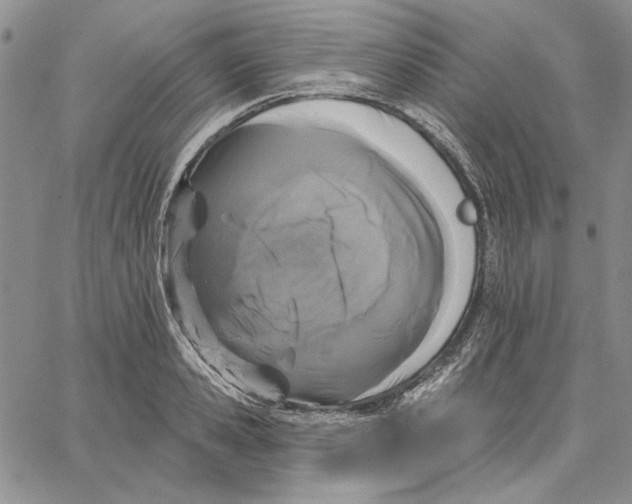X0000062860941200602031648