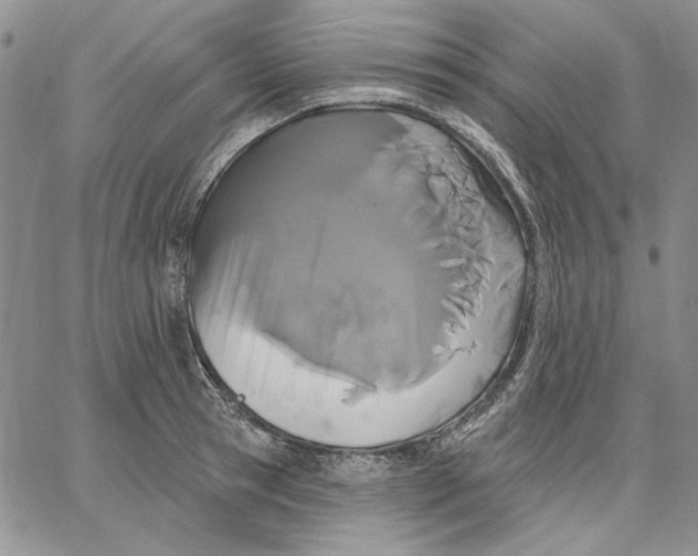 X0000062860945200602031648
