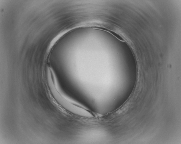 X0000062860960200602031648
