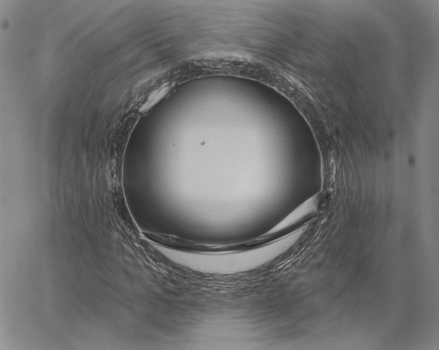 X0000062860965200602031648