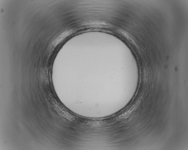 X0000062860970200602031648