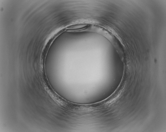 X0000062860981200602031647