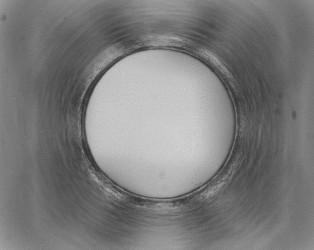 X0000062860986200602031647