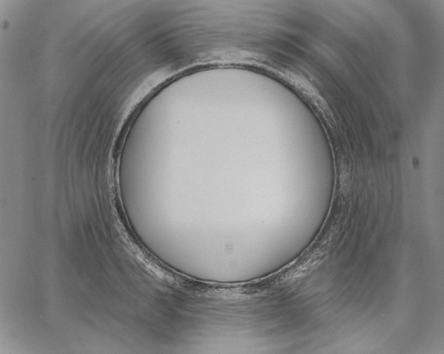X0000062860990200602031647