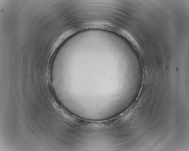 X0000062860994200602031647