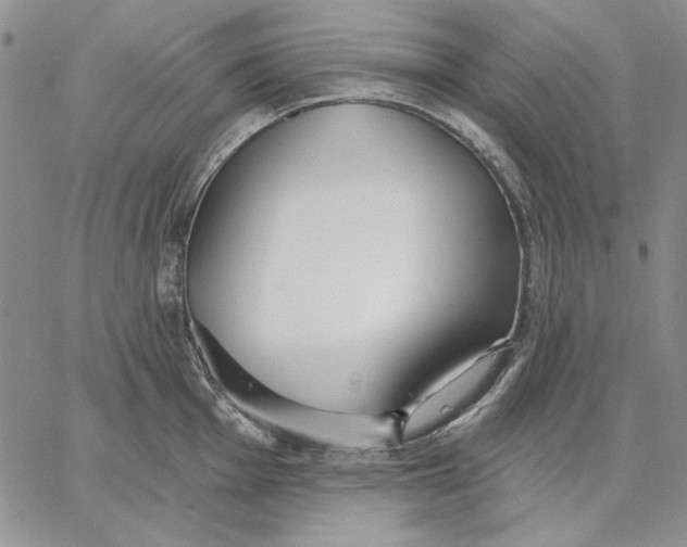 X0000062861001200602031647