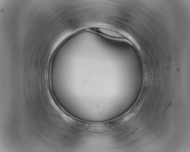 X0000062861007200602031647