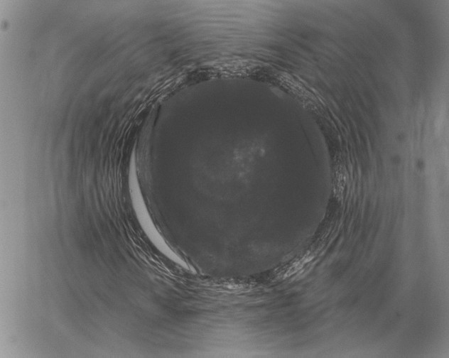 X0000062861010200602031646