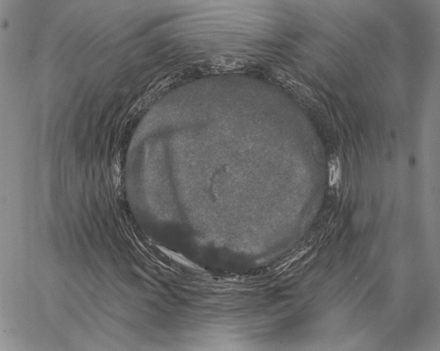 X0000062861011200602031646