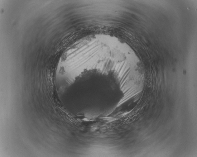 X0000062861013200602031646
