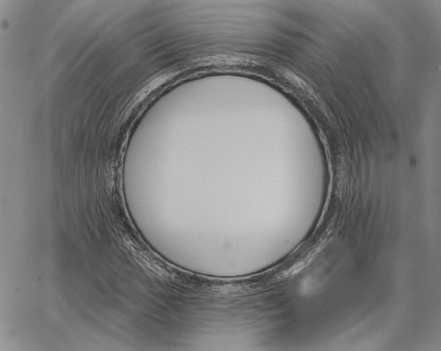X0000062861017200602031646