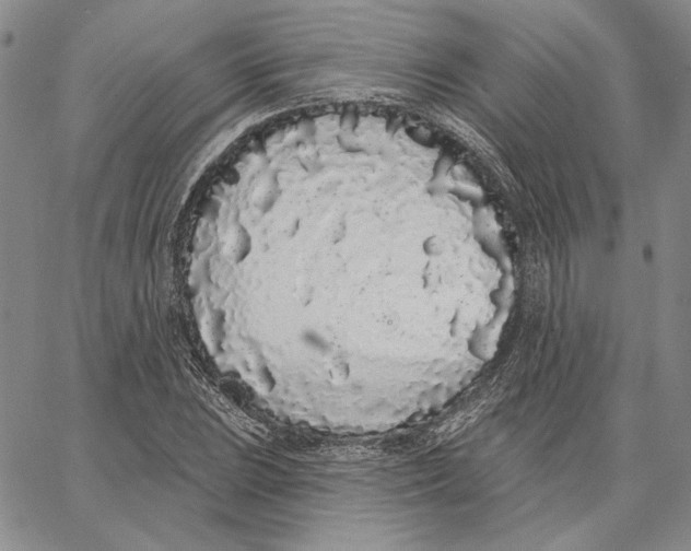 X0000062861023200602031646