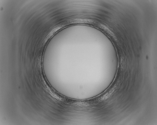X0000062861033200602031647
