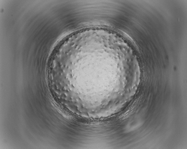 X0000062861035200602031647