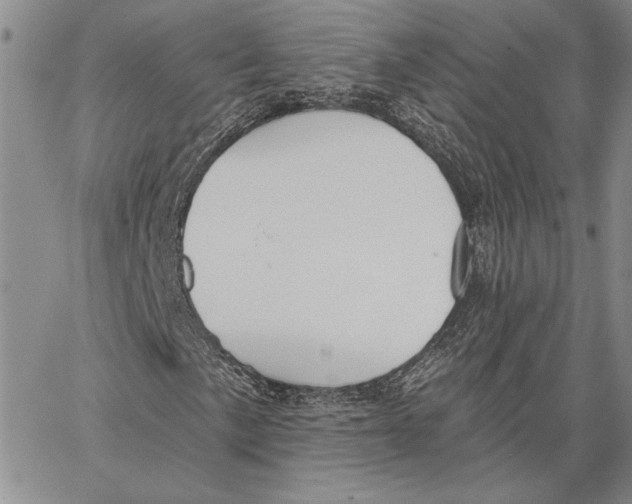 X0000062861057200602031646