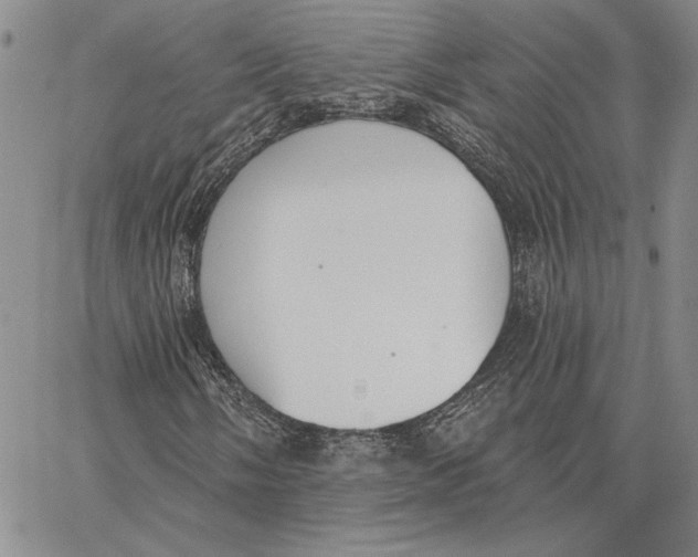 X0000062861058200602031646