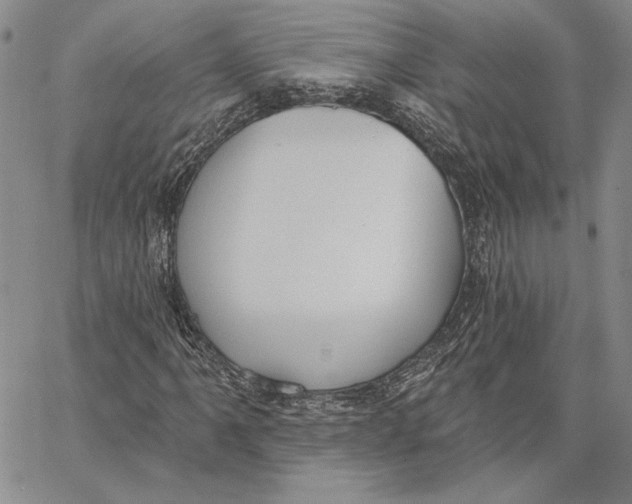 X0000062861061200602031646